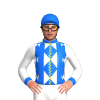 Jockey Silk