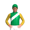 Jockey Silk