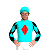 Jockey Silk