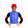 Jockey Silk