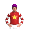 Jockey Silk