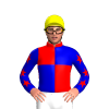 Jockey Silk