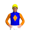 Jockey Silk