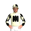 Jockey Silk