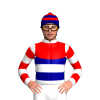 Jockey Silk