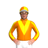 Jockey Silk