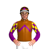 Jockey Silk