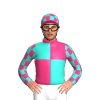 Jockey Silk
