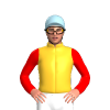 Jockey Silk