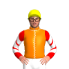 Jockey Silk