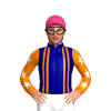 Jockey Silk