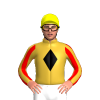 Jockey Silk
