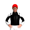 Jockey Silk