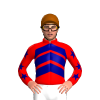 Jockey Silk