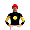 Jockey Silk
