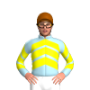 Jockey Silk