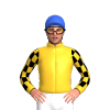 Jockey Silk
