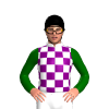 Jockey Silk