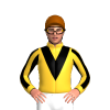 Jockey Silk