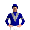 Jockey Silk