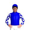 Jockey Silk