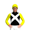 Jockey Silk