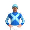 Jockey Silk