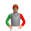 Jockey Silk