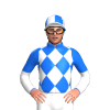 Jockey Silk