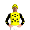 Jockey Silk