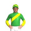 Jockey Silk