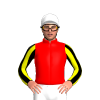 Jockey Silk