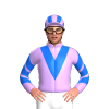 Jockey Silk