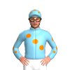 Jockey Silk