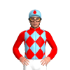 Jockey Silk