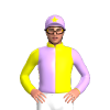 Jockey Silk