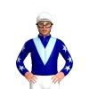Jockey Silk