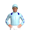Jockey Silk