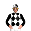 Jockey Silk