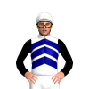 Jockey Silk