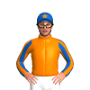 Jockey Silk