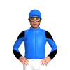 Jockey Silk