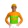 Jockey Silk