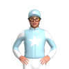 Jockey Silk