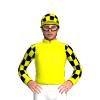 Jockey Silk