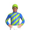 Jockey Silk