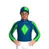 Jockey Silk