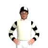 Jockey Silk