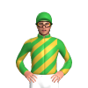 Jockey Silk