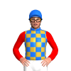 Jockey Silk